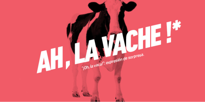 vache3emetrim